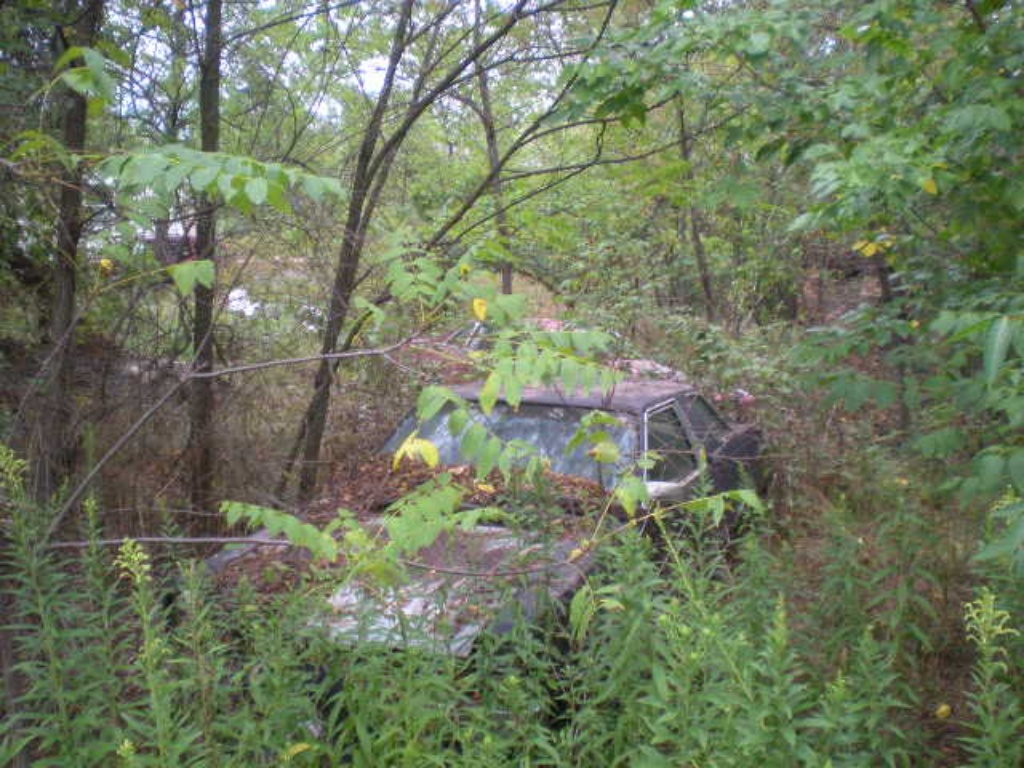 Discarded Vehicles