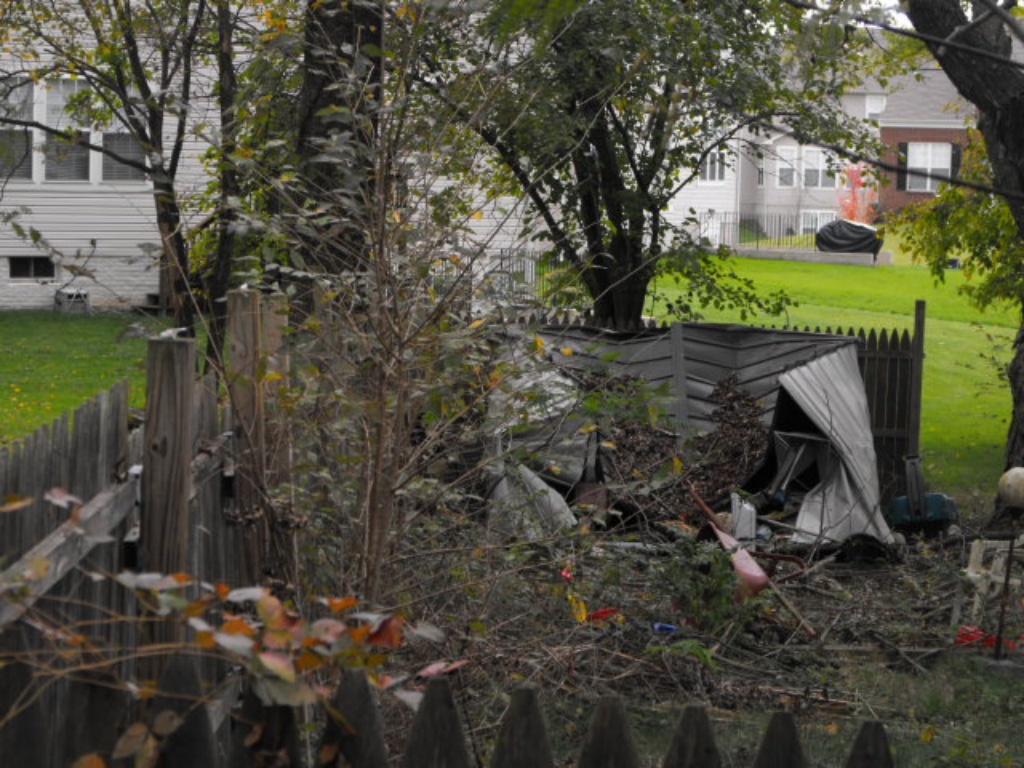 Collapsed Shed